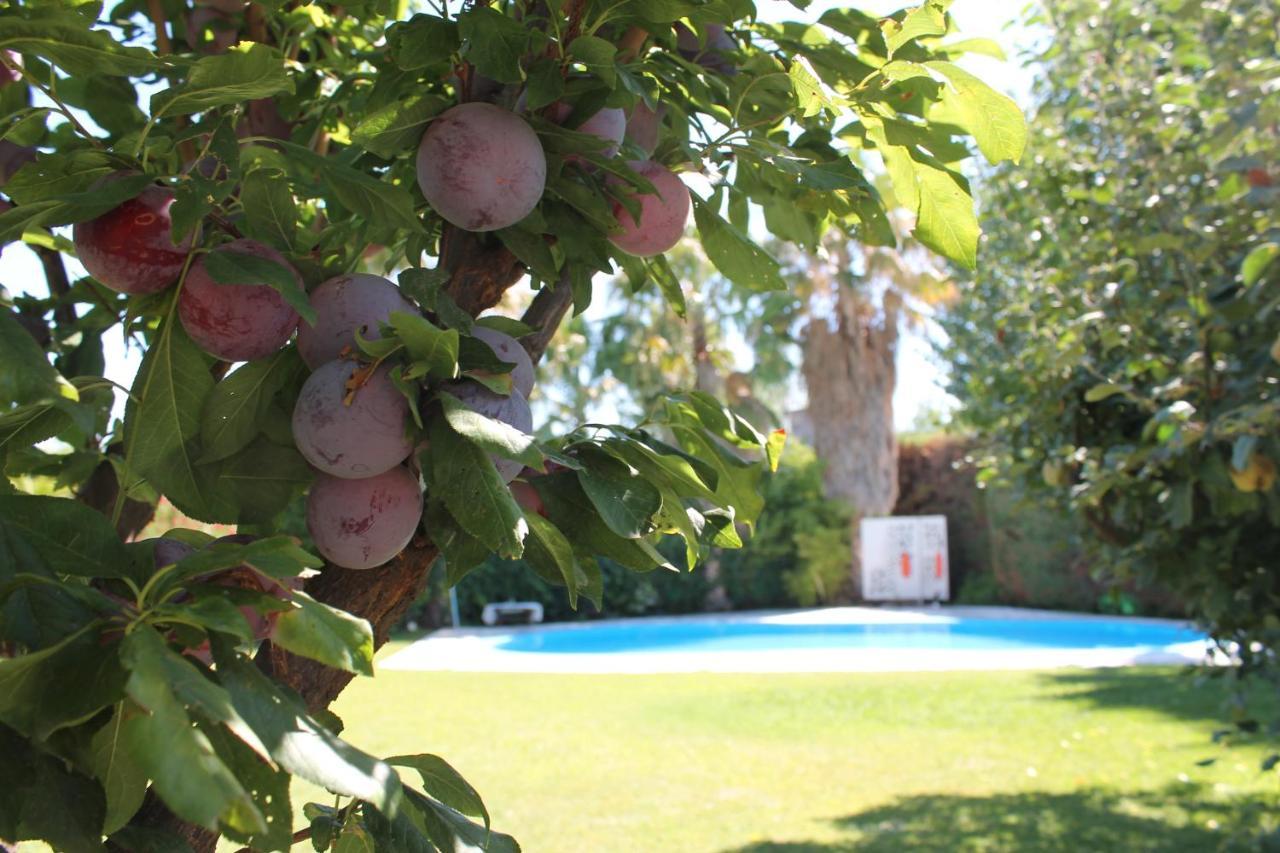 De Los Andes Hotel Boutique Lujan de Cuyo Εξωτερικό φωτογραφία